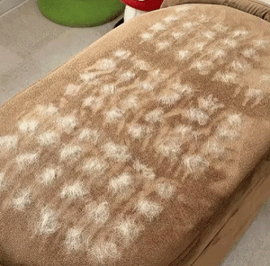 Pet hair removal glove clearing a fur-covered cushion