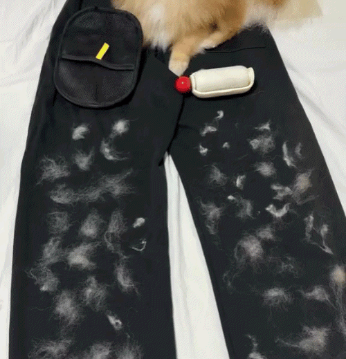 Pet hair removal glove clearing fur off dark pants