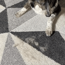Clump of shed pet fur lifted off a dog's coat with the pet hair removal glove